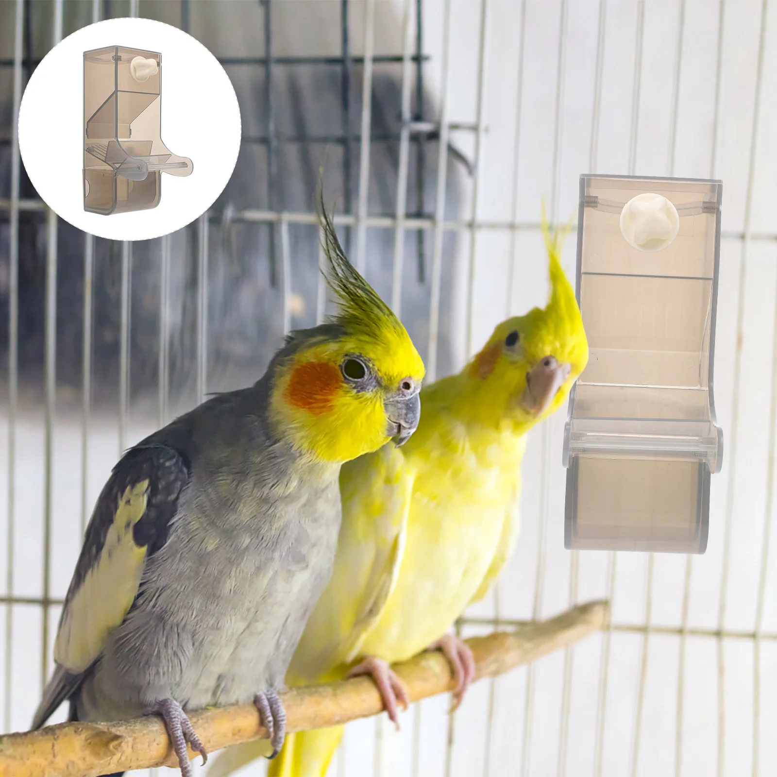 

Parrot Feeding Bowl Pet Parrot Feeder Bird Supplies Safe Plastic Wear Resistant Splash Proof Design Suitable Multiple Birds