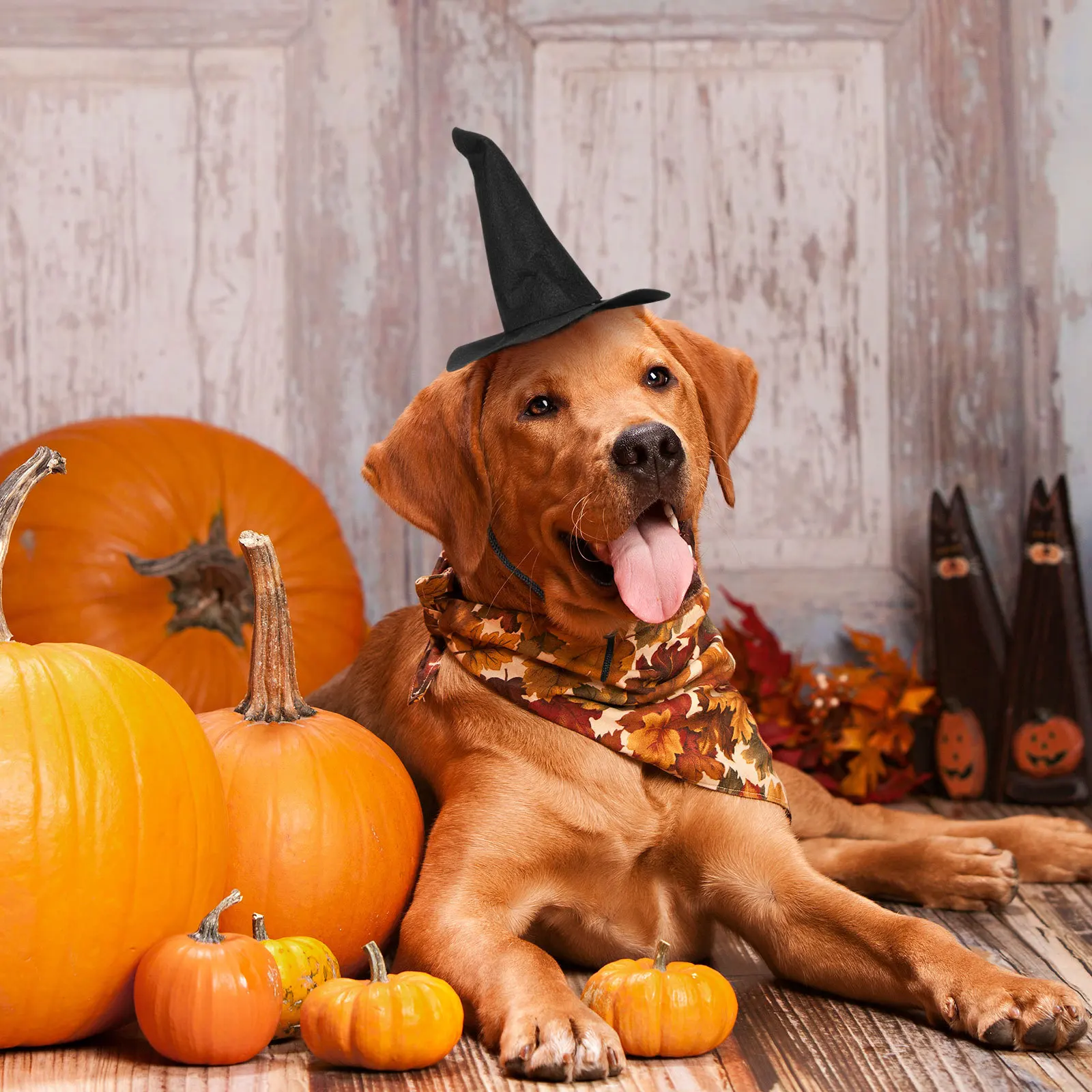 

2pcs Mini Hat For Pets Baby Halloween Decor Halloween Decor Soft Spooky Party Accessory Kids Wizard Costume Hats