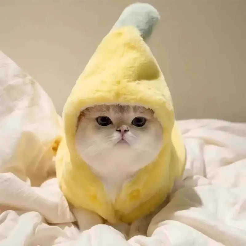 

Banana Pet Costume Autumn Winter Warm Pullover Hoodie for Puppy Cat Teddy Bear Style Photoshoot Costume Outfit