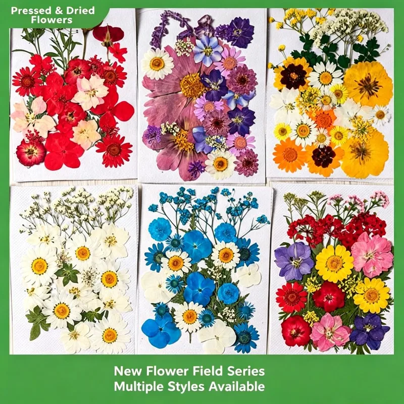 35Pcs10 Set of Dried Flowers and Pressed Real Natural Flower Leaves for Resin Jewelry Mold Filling, Phone Case Making, Decoration, and Scented Candles view 3