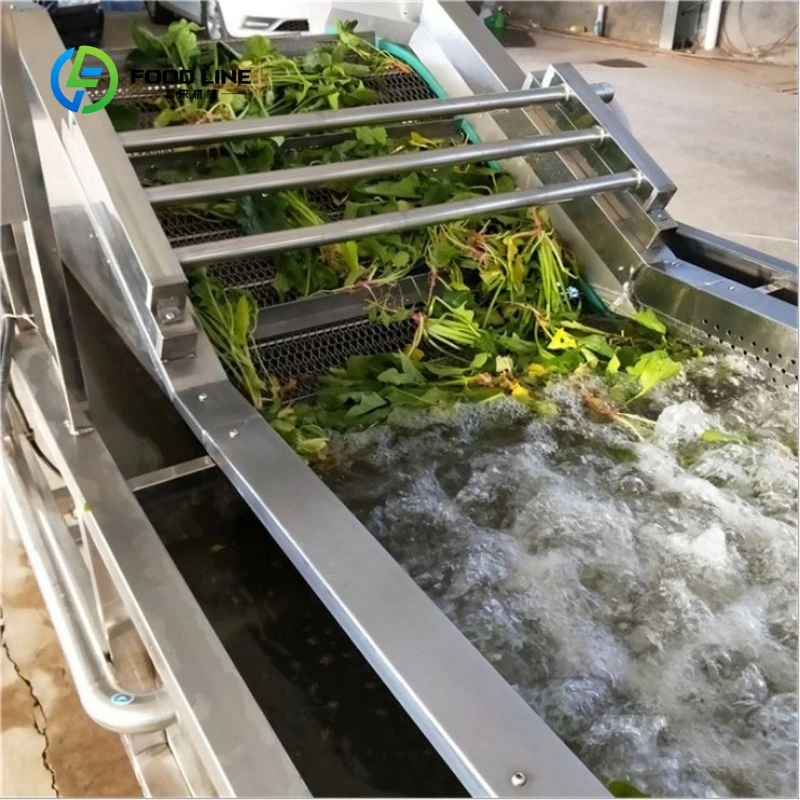 Factory Price Pepper Washer/Chilli Washing Machine Bubble Washing Machine