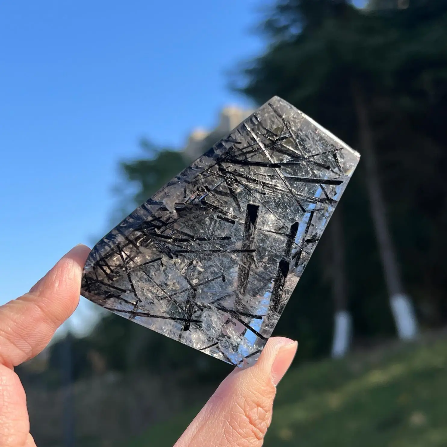 

Natural Black Tourmaline in Quartz Freeform, Polished Crystal Mineral Specimen Healing Stone Home Decor Mineral Specimen Gift