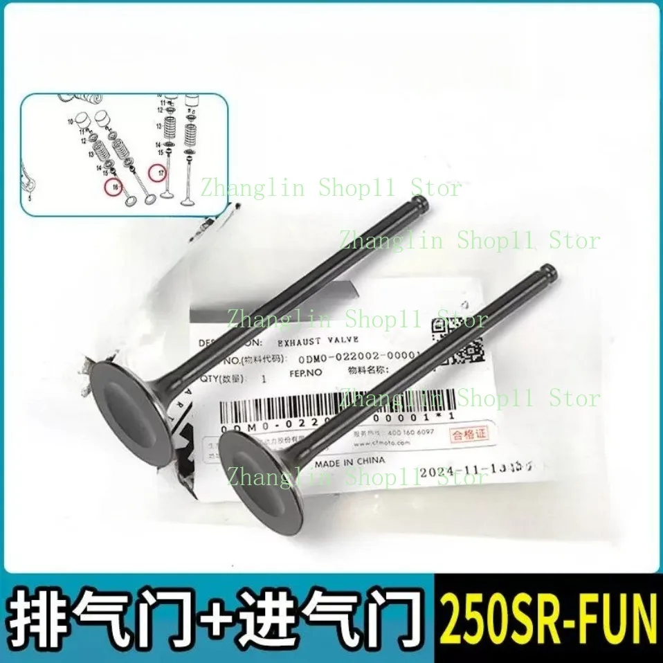 Motorcycle 250SR-FUN Intake Exhaust Valves for CFMOTO CF250-6 Valve Spring Valve Stem Sealing Ring Tensioner Assembly
