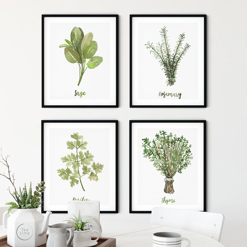 Piante di erbe ad acquerello poster e stampe botaniche verdi su tela pittura Wall Art Picture for coriandolo Kitchen Herbs Home Decor