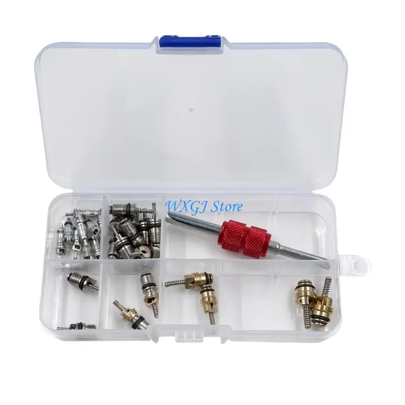 

37JE Professional Automotive Air Conditioning Valves Replacement Pack Universal Metal Cores With Removal Accessory