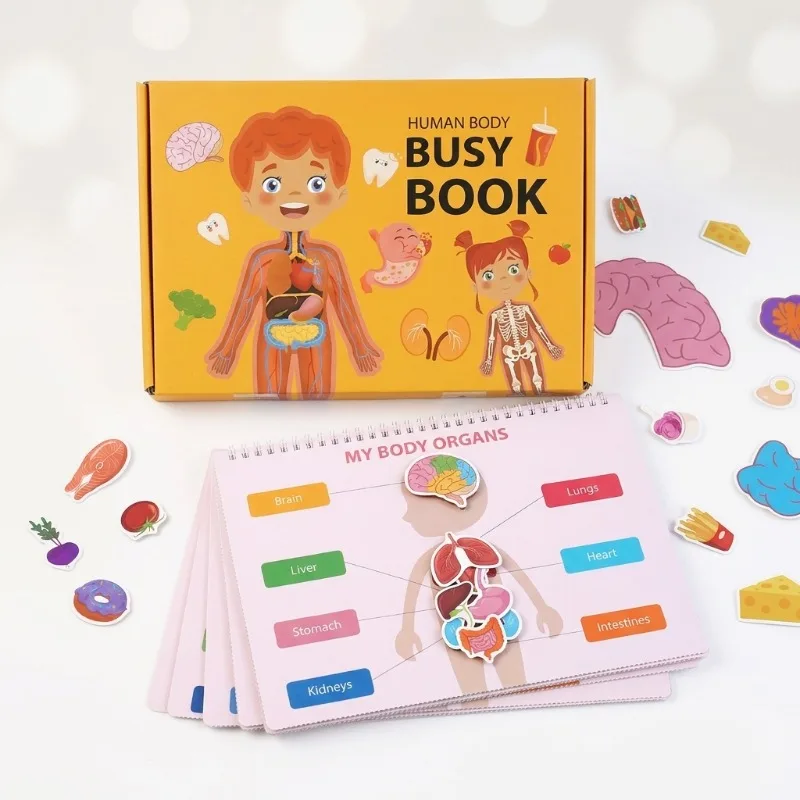 Montessori Human Anatomy Quiet Book Sensory Educational Busy Book for Kids Early Learning Cognitive Development Preschool