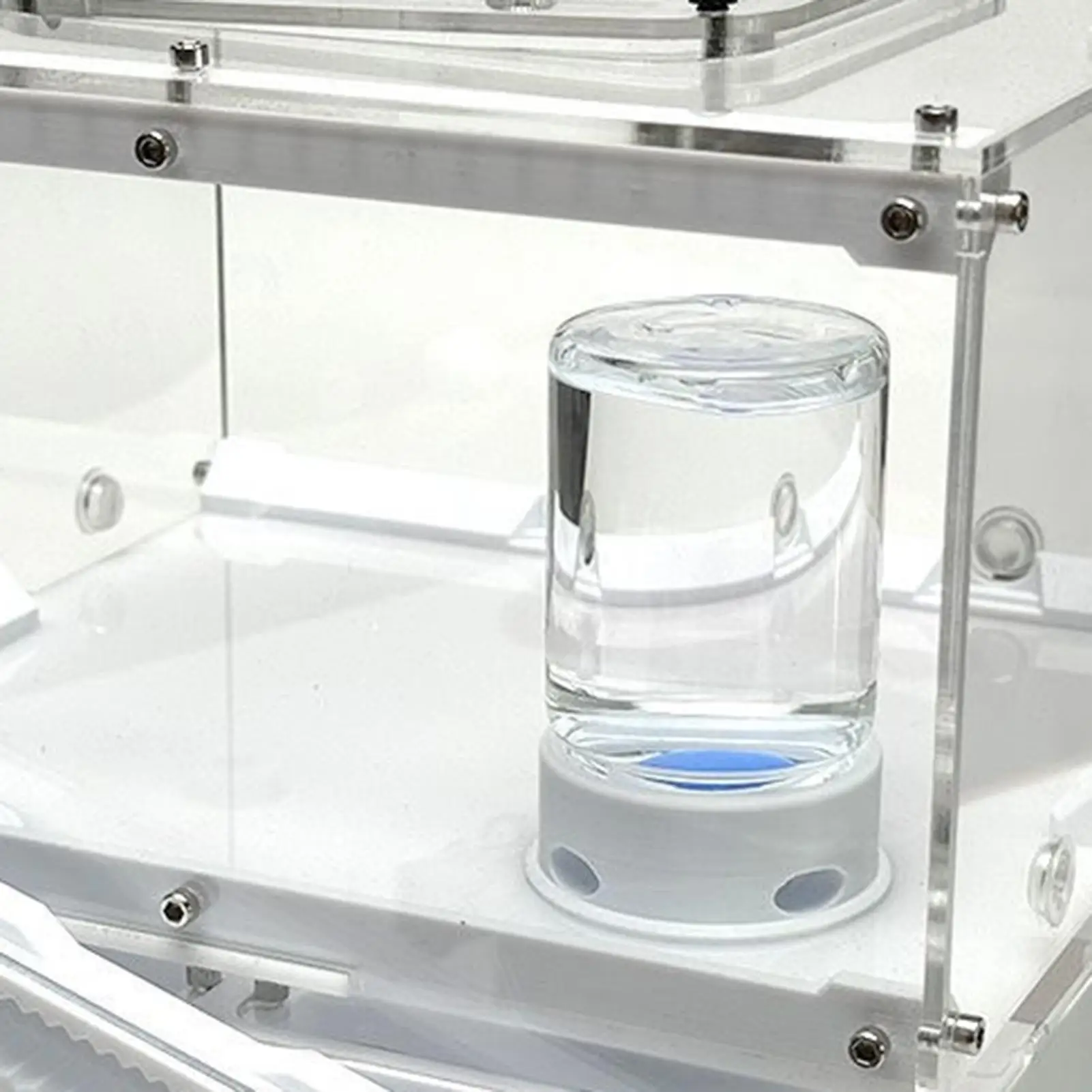 Transparent Ant Feeder Crickets Water Station Step drowning prevention Transparent Drinking Feeder for Ant Bee Crickets