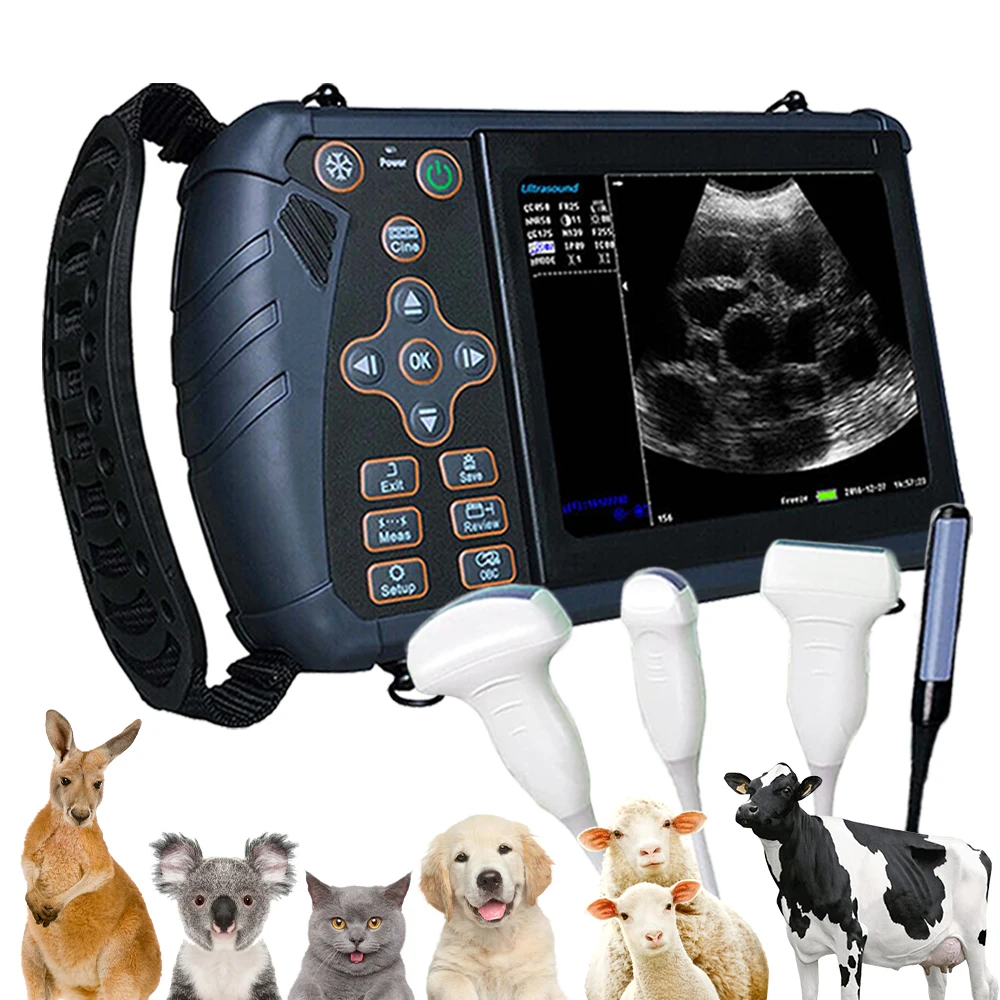 

Portable Vet Ultrasound Scanner for Pregnancy, Handheld Veterinary B Ultra Machine, for Pig Sheep Cow Horse Dog Cat Use