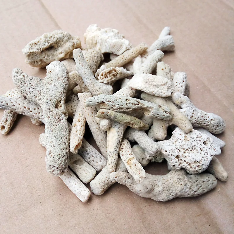 

Coral sand stone bottom Fish tank filter material pond coral bone aquarium Adjust PH