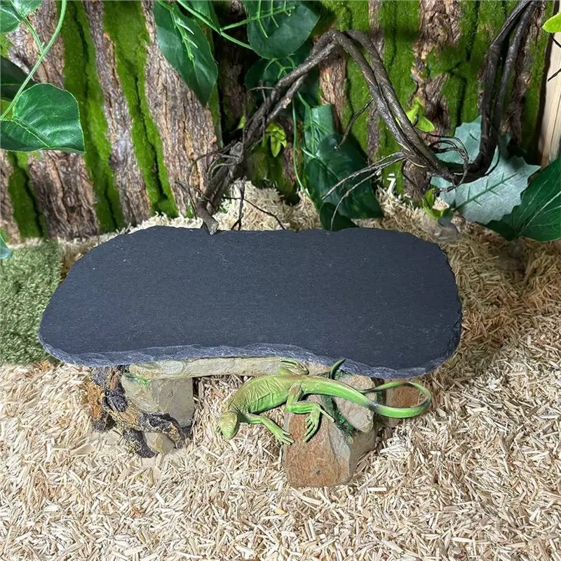 ABZC-Feeding Food Bowl Dish, Reptile Basking Platform, 11