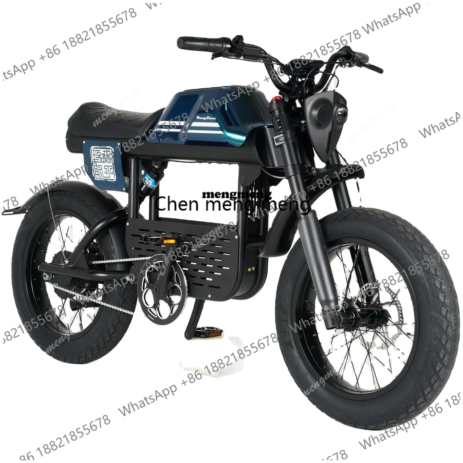 

FT-01 1000W Hoyer Motor Electric Mode 100Km Ebike Other Electric Hybrid Bike