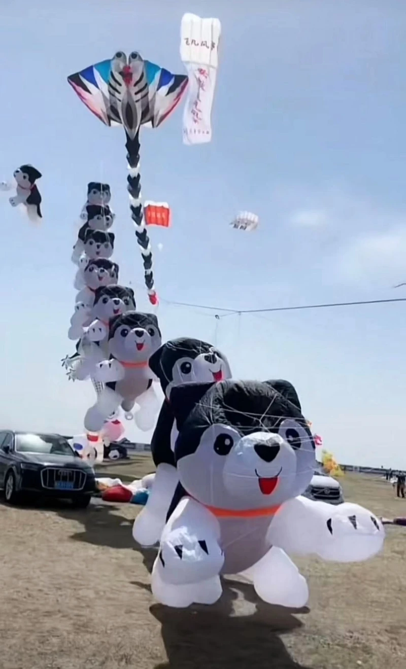 12m large dog kites inflatable kites pendant soft kite 3d kites trilobite dragon flying wing outdoor toys animal kites beach koi