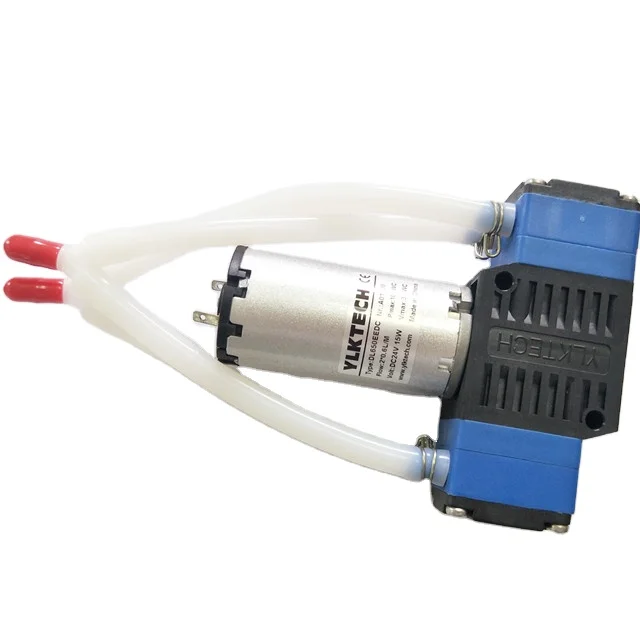 DL650EEDC 24V Micro Electric Water Pump DL650EEDC Made in China with OEM Customization SupportBrushless Diaphragm Pump