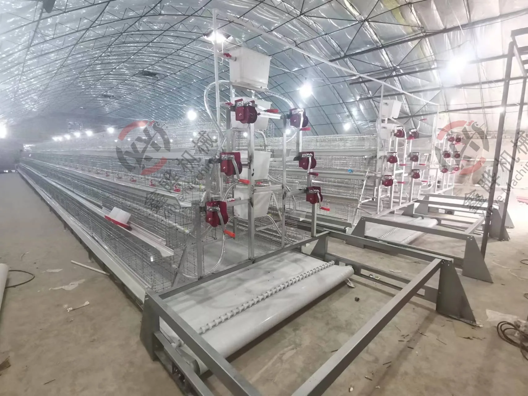 A Type Layer Chicken Cage 192 Birds Q235 Steel Automatic Manure Removal Poultry Housing Equipment for Egg Farm Project
