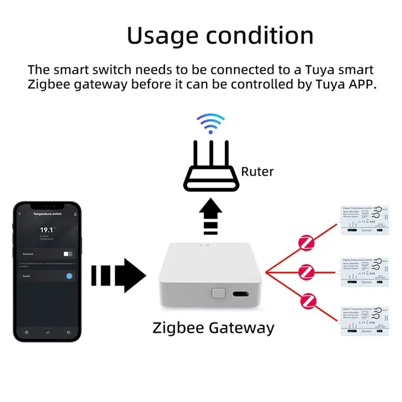 DT21 APP Remote Controlled Tuya Zigbee Temperature Switch Sensor AC85-265V/USB5V Smart Timing Smart Switch 1M