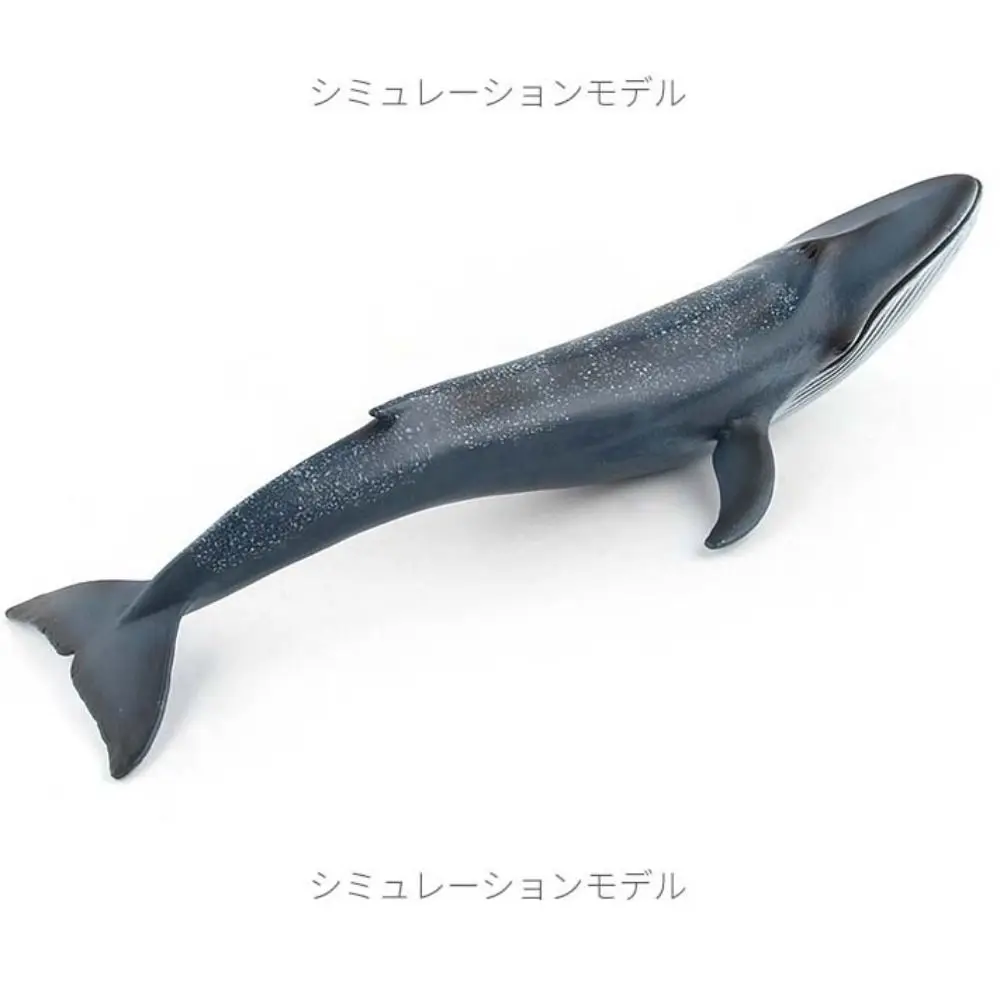 Simulation Marine Animal Model Sperm Whale Ocean Animals Whale Figurines Underwater Biological Solid PVC Sea Life Figure
