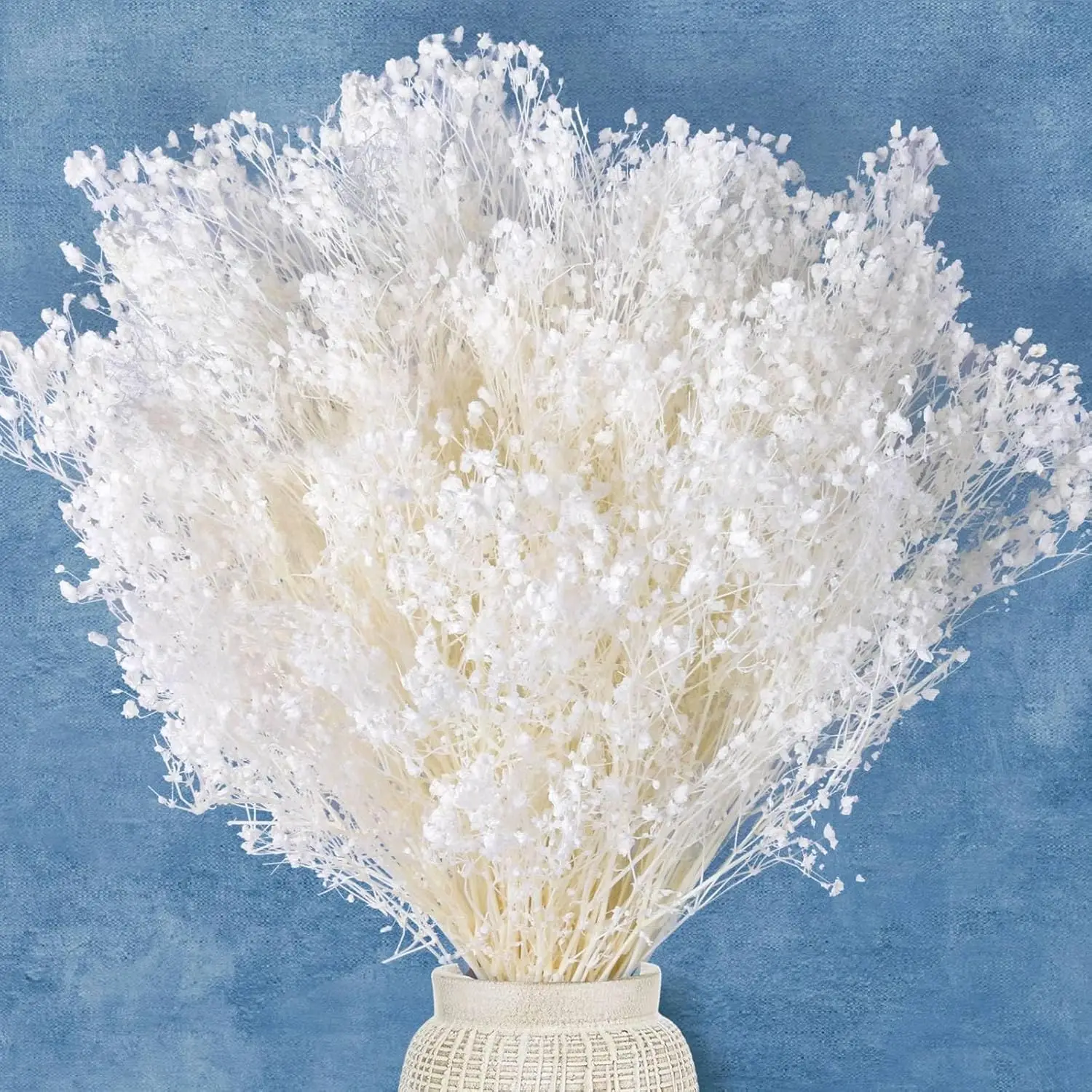 White Dried Baby's Breath Flowers Bulk Natural Dried Gypsophila Bouque 100% Natural Dry Flowers for Wedding Decor DIY Wreath