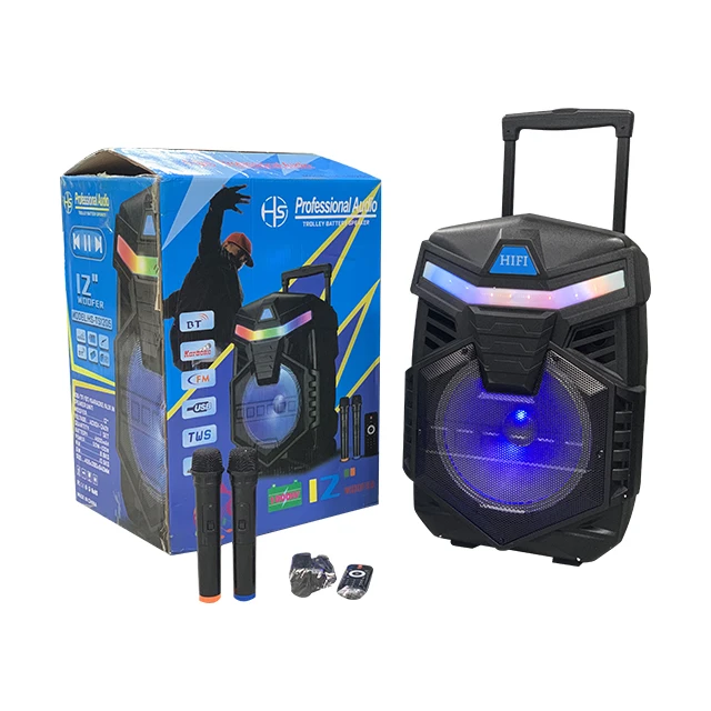 

China Factory 12 Inch Speaker HS-TS1205 Karaoke Speaker HI-FI Party Speaker