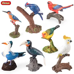 Oenux Bird Nest Animals Peacock Parrot Trogon Hornbill Owl Model PVC Action Figures Big Garden Decoration Cute Kids Toy Gift