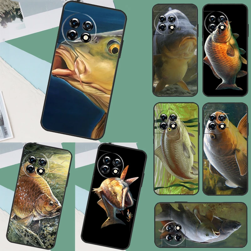 Carp Fishing Fish C… - image