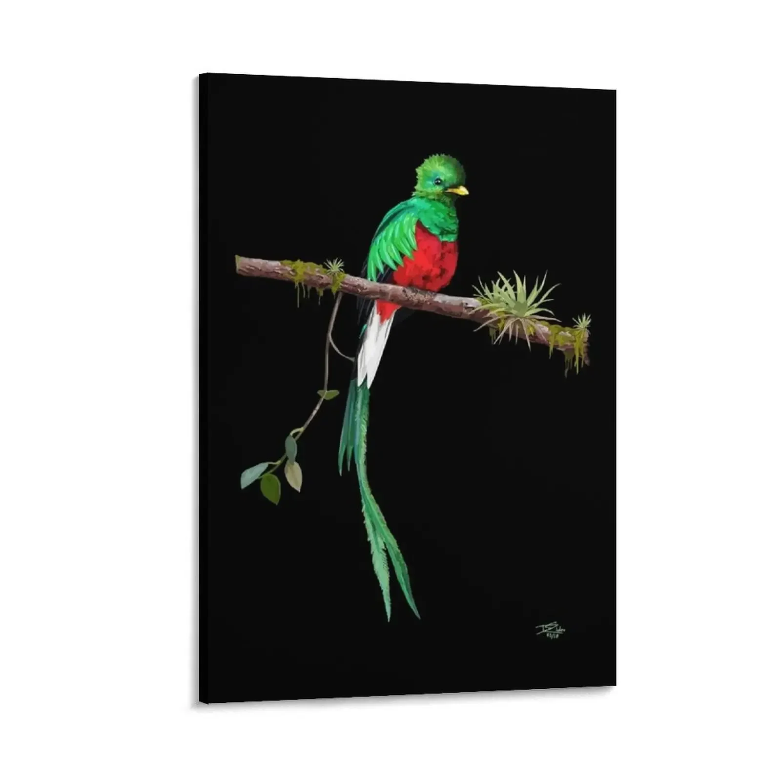 

Quetzal bird Canvas Painting aesthetic room decor decorative frames wall room wall frame for living room decor