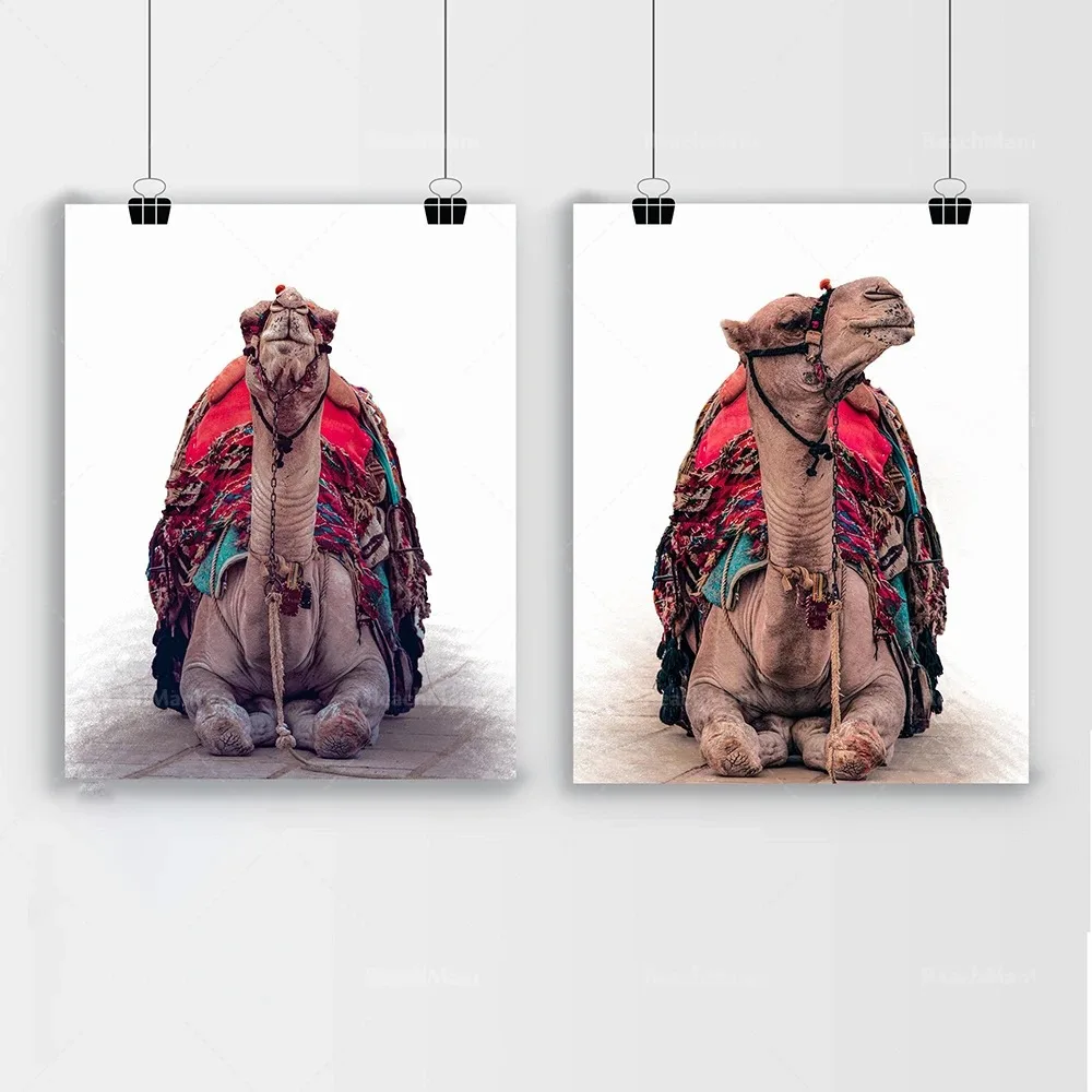 Bohemian Wall Art Desert Travel Print Marrakech Poster Camel Canvas Print Painting Wall Picture Living Room Morocco Decoration