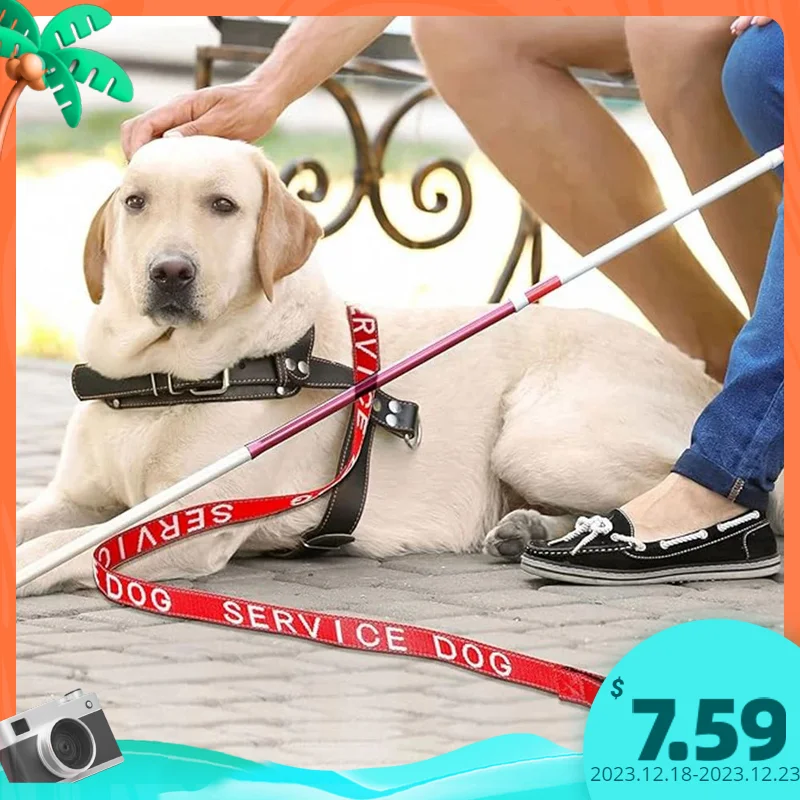 

Reflective Leash with Waterproof Neoprene Handle for Dog, Collar Harness, Pet Leash, Emotional Support and Service