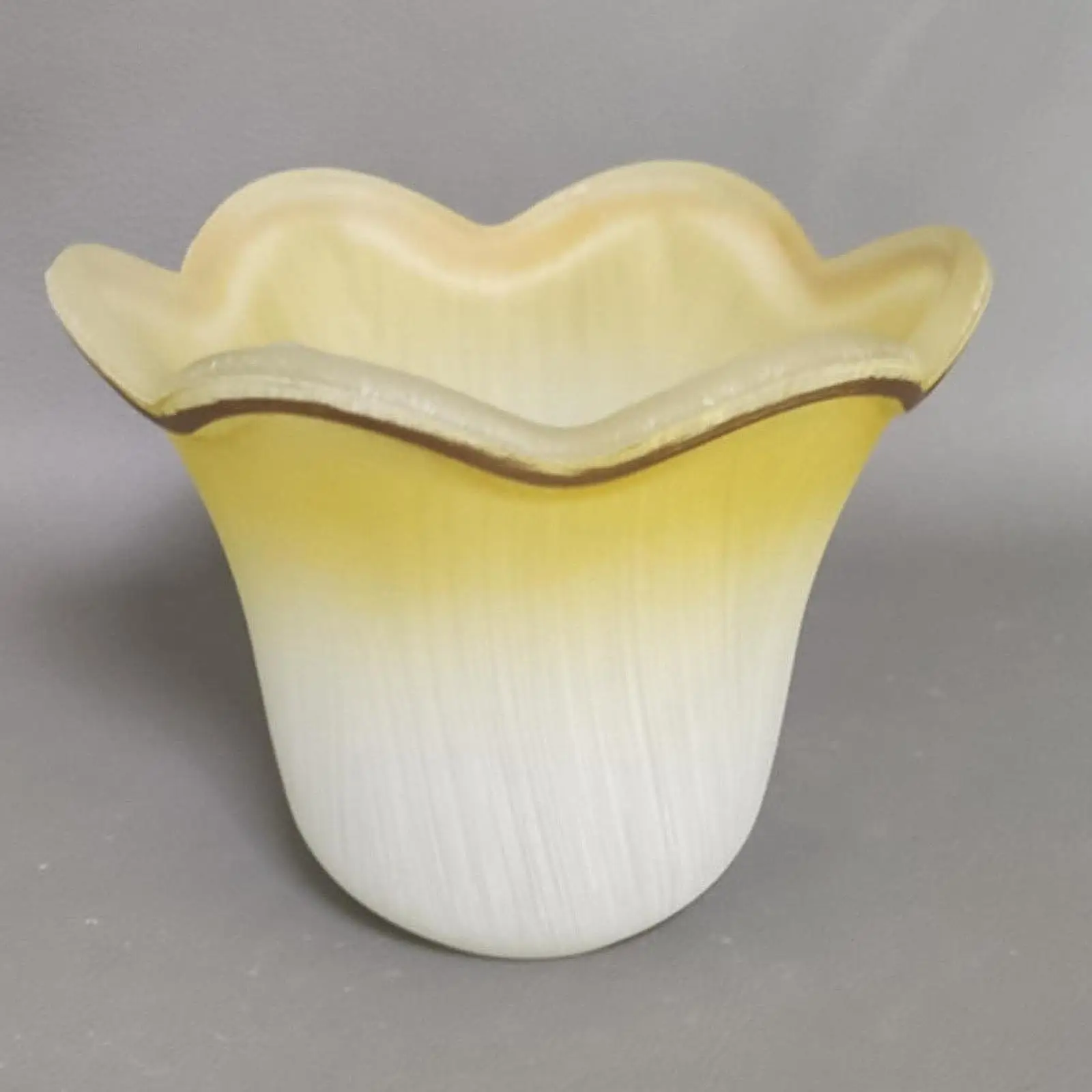 

Glass Lamp Shade Elegant Replacement Pendant Light Shade for Cafe Hotel