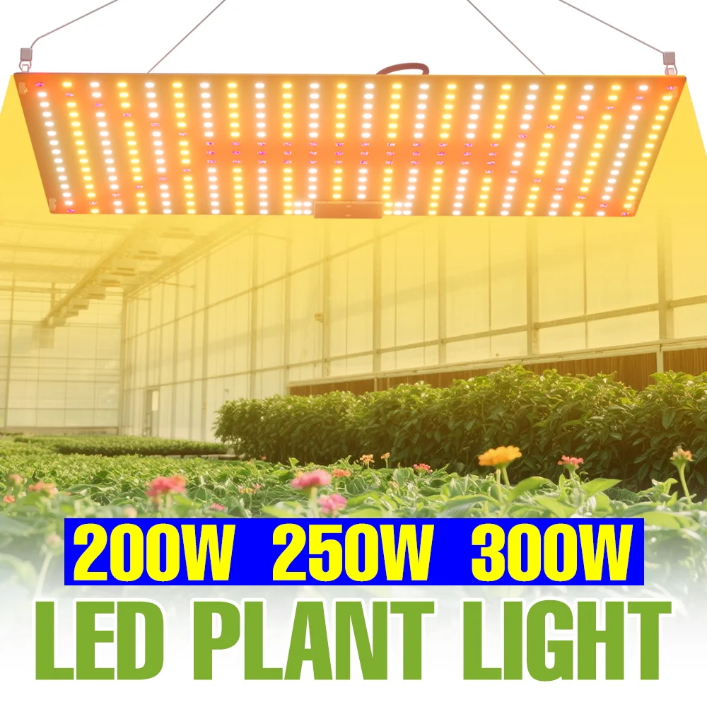 Lámpara LED de Cultivo de Espectro Completo de 300W, 110V, Quantum Board, para Plantas, Invernadero, Hidroponía, Vegetales, Suculentas, Cultivo, Enchufe US/EU