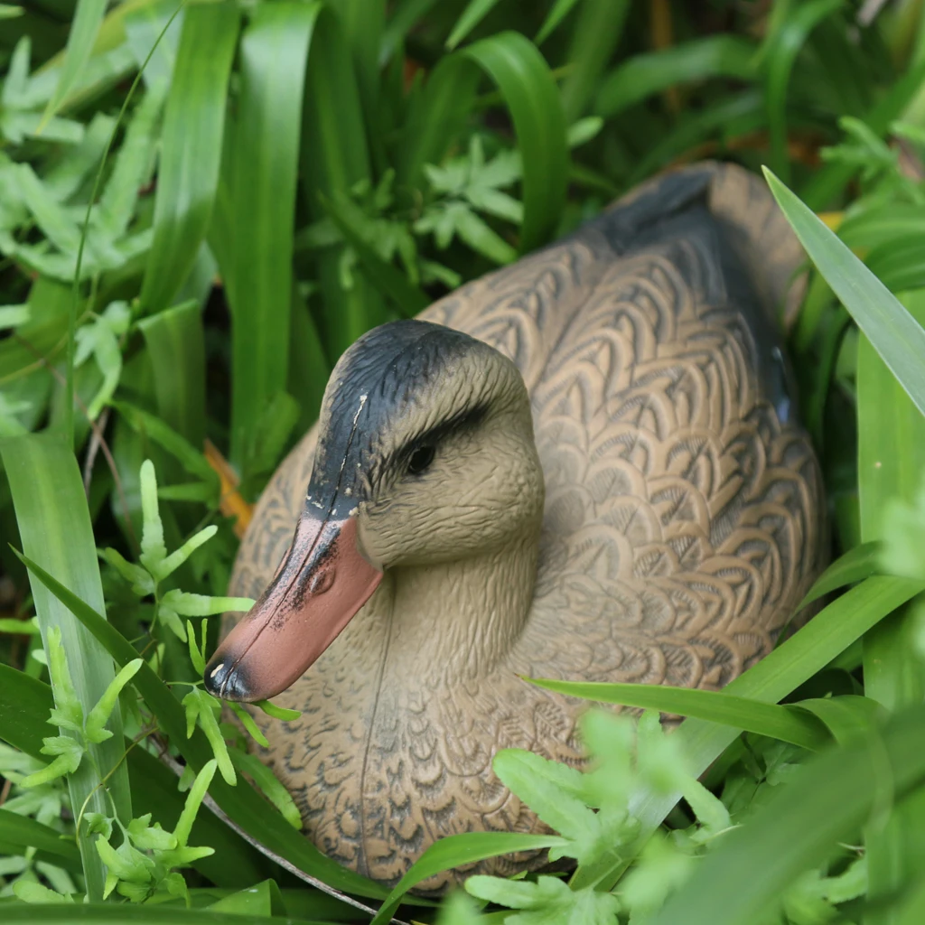 Drake Esca galleggiante Ornamento Esca da caccia Plastica Giardino Cortile Spaventapasseri Parti materiali Ornamento animale realistico