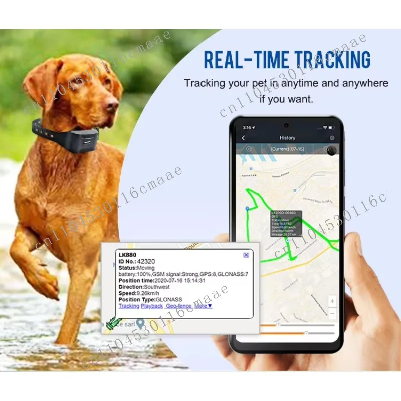 New 4g Waterproof IP68 Mini Personal Heartbeat Measurement Smart Pet Dog Device Global Positioning System Tracker LK880