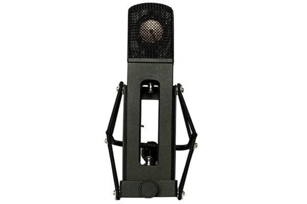 

It is recommended to use the hot-selling BH-3 large diaphragm recording microphone with high quality.