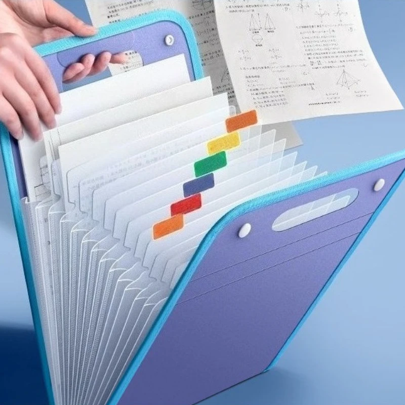 

Vertical 13-Pocket Expanding File Organizer - Durable PP Portfolio for A4 Documents, Multi-Category Office Folder