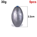 5Pcs 30g