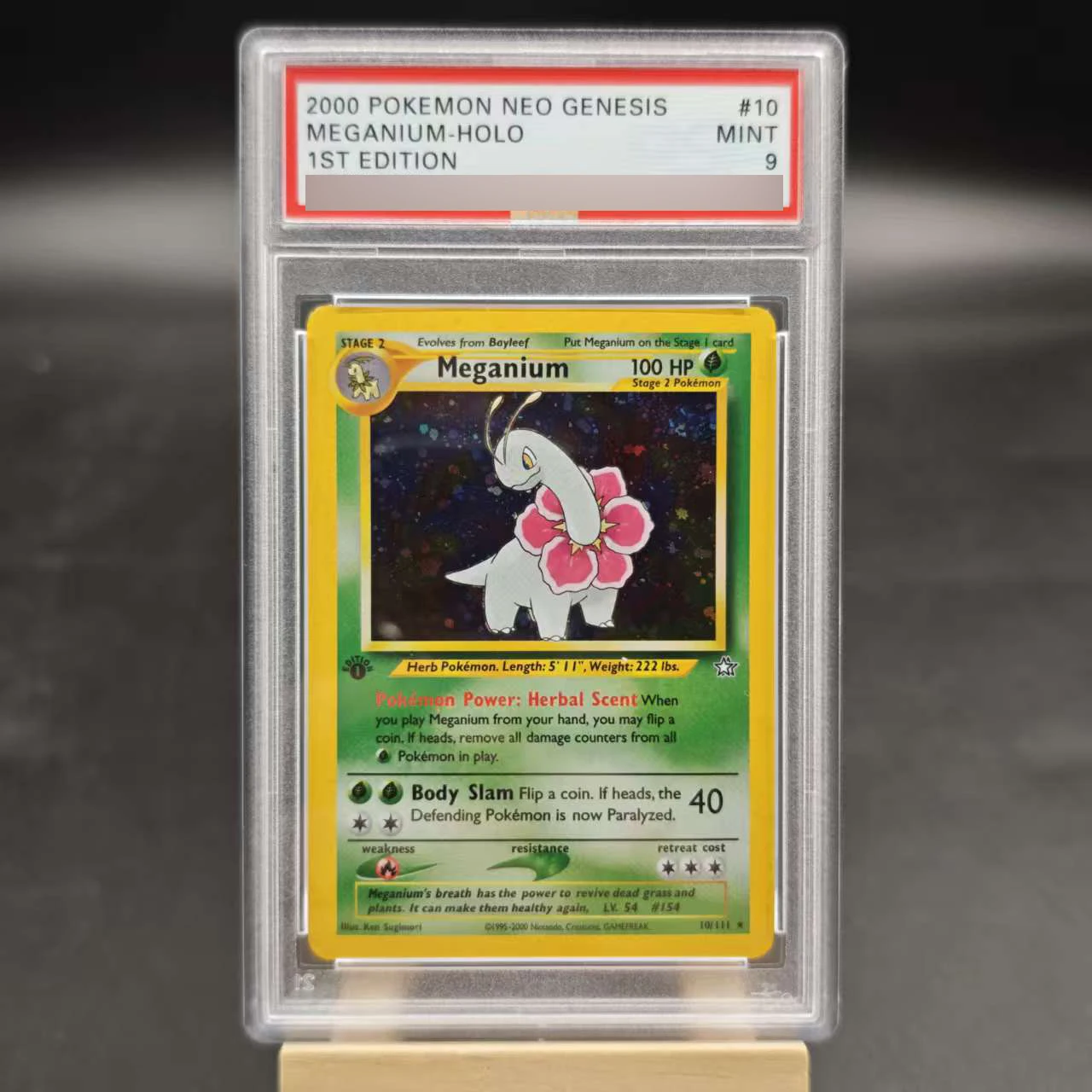 1St Jumpluff English Rating Card Tyranitar Arcanine Dragonite Espeon Diy Copy Version Classic Anime Collection Card Toy