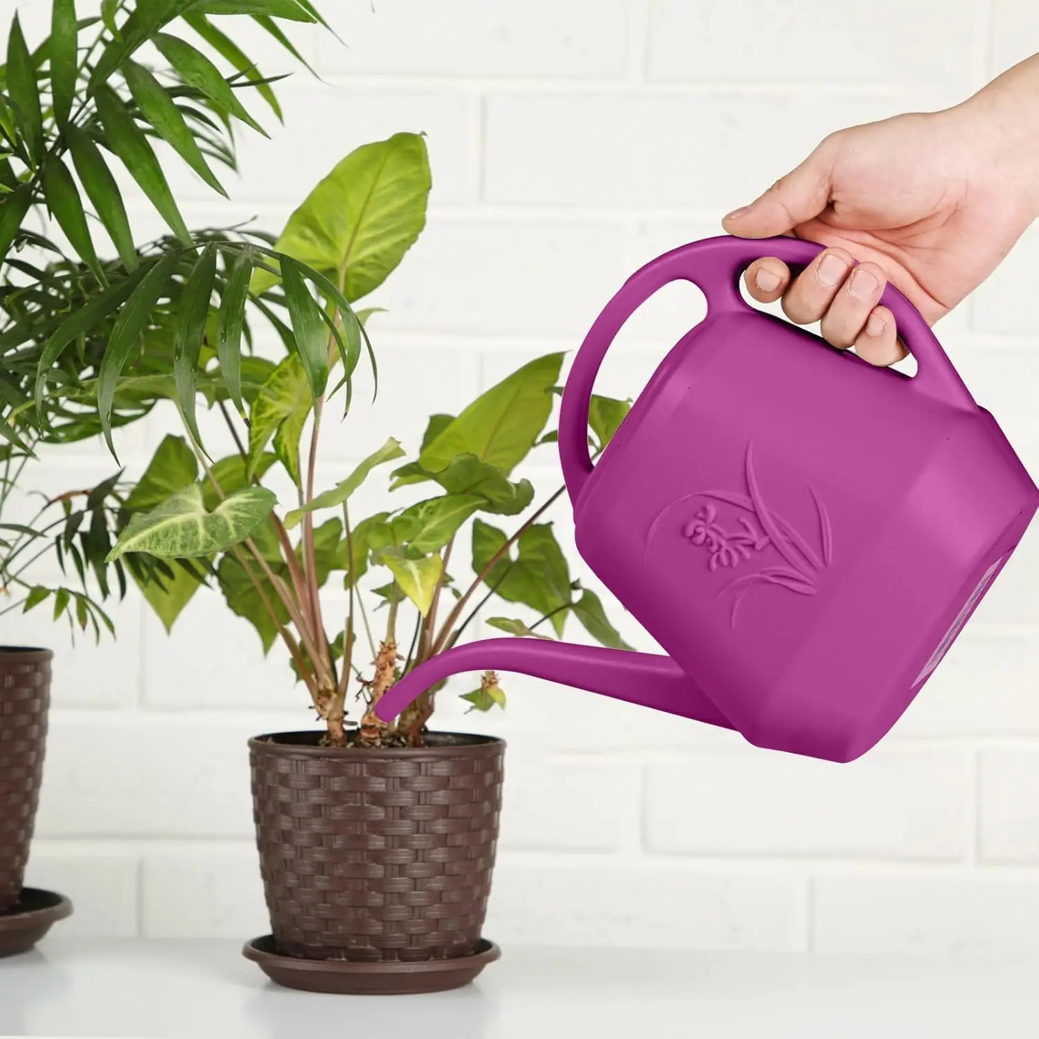 1/2 Gallon Watering Can with Long Spout for Indoor Plants and Garden Watering, Rose Red view 6