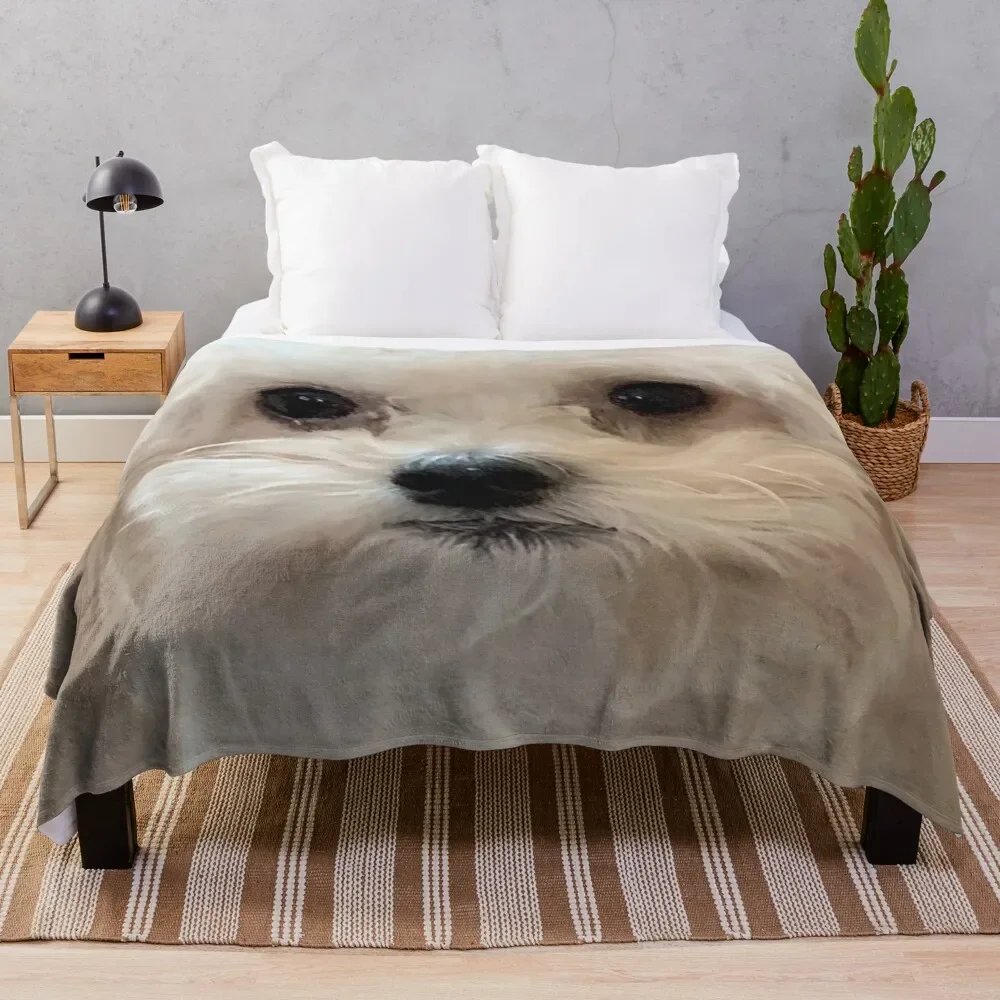 

Maltipoo sweetheart with long silky white hair. Throw Blanket All Season Lightweight Soft Blanket for Bed