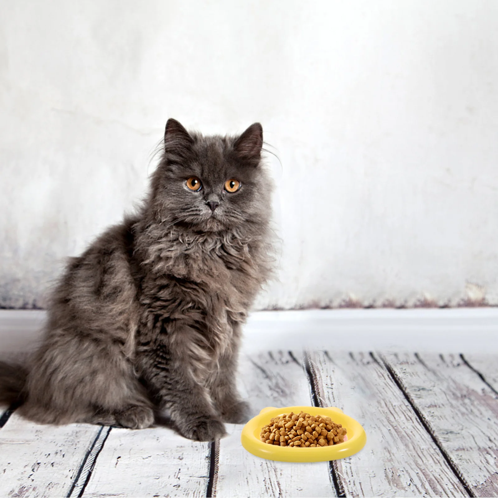 

Ceramic Cat Food Bowl with Wide Flat Surface - Anti Sliding Pet Feeding Dish for Dry Wet Food Suitable Small Dog Kitten Water