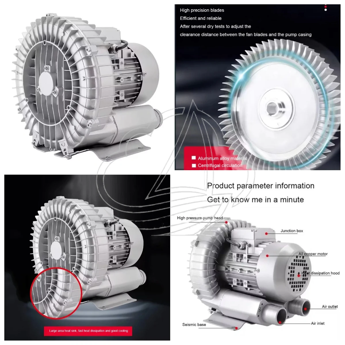 220V Single Phase High Pressure Blower, Ring Vortex Air Pump, Industrial Vortex Fan for Air Supply and Ventilation