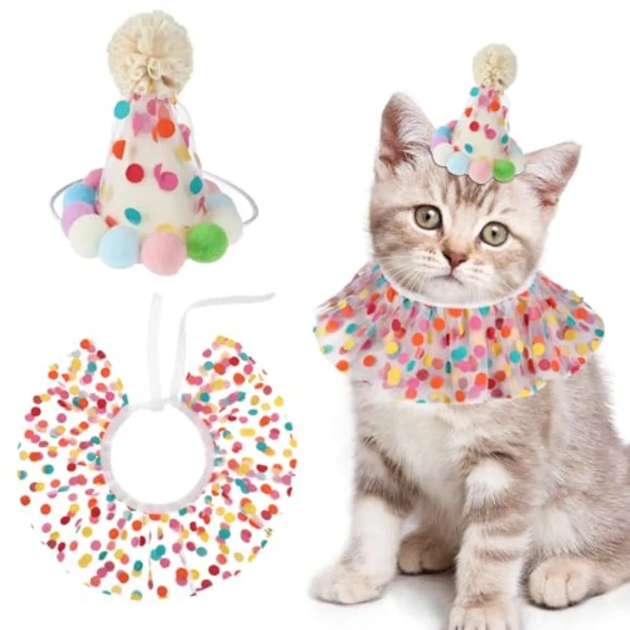 Cat Birthday Hat Ou…