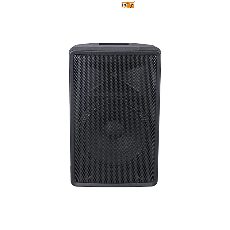 RIY PE15 Professional Outdoor Active Speaker 15