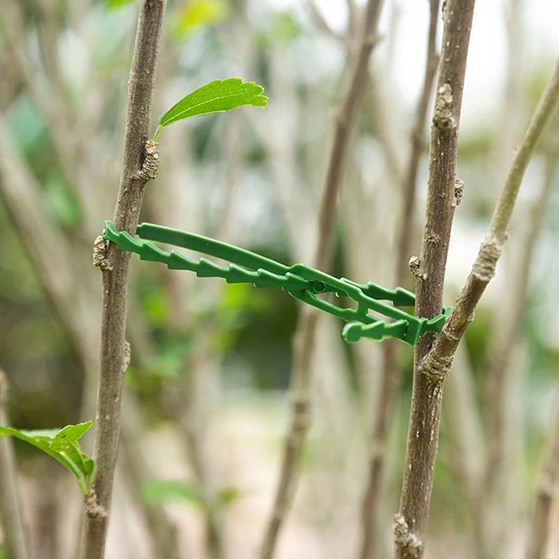 30PCS โรงงานพลาสติก TIES Reusable Fastener เรือนกระจก Grow Kit สําหรับสวนมะเขือเทศ Vines ปีนเขา Multi-Function คลิป