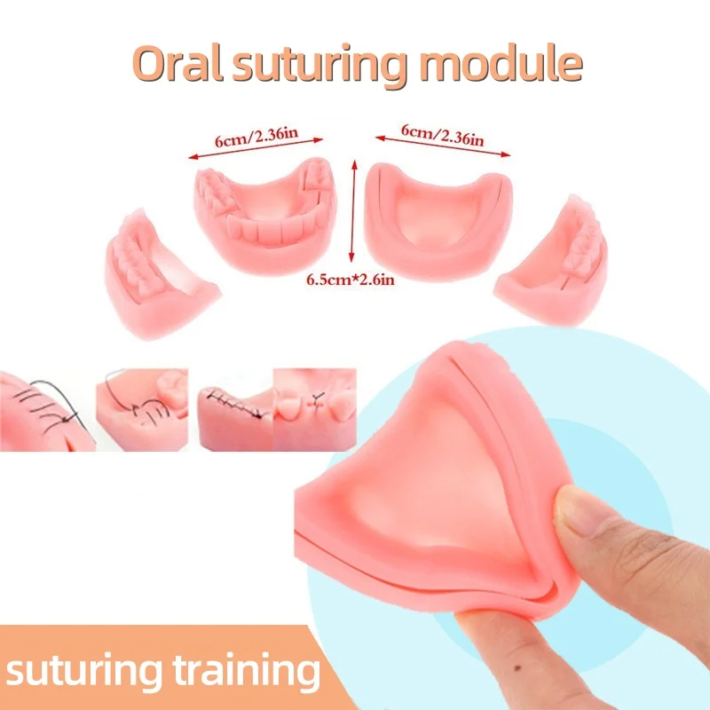 

Dental Simulation Oral Suture Model for Gum Suture Exercise and Training - Comprehensive Dental Kit