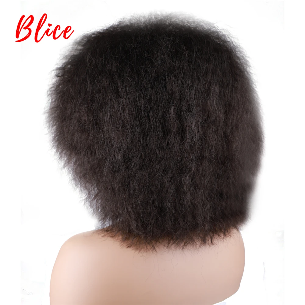 Blice 6 Zoll kurze synthetische Perücken verworrene gerade Kanekalon hitzebeständige natürliche schwarze Frauen Afroamerikaner Afro volle Perücke – Detail 6