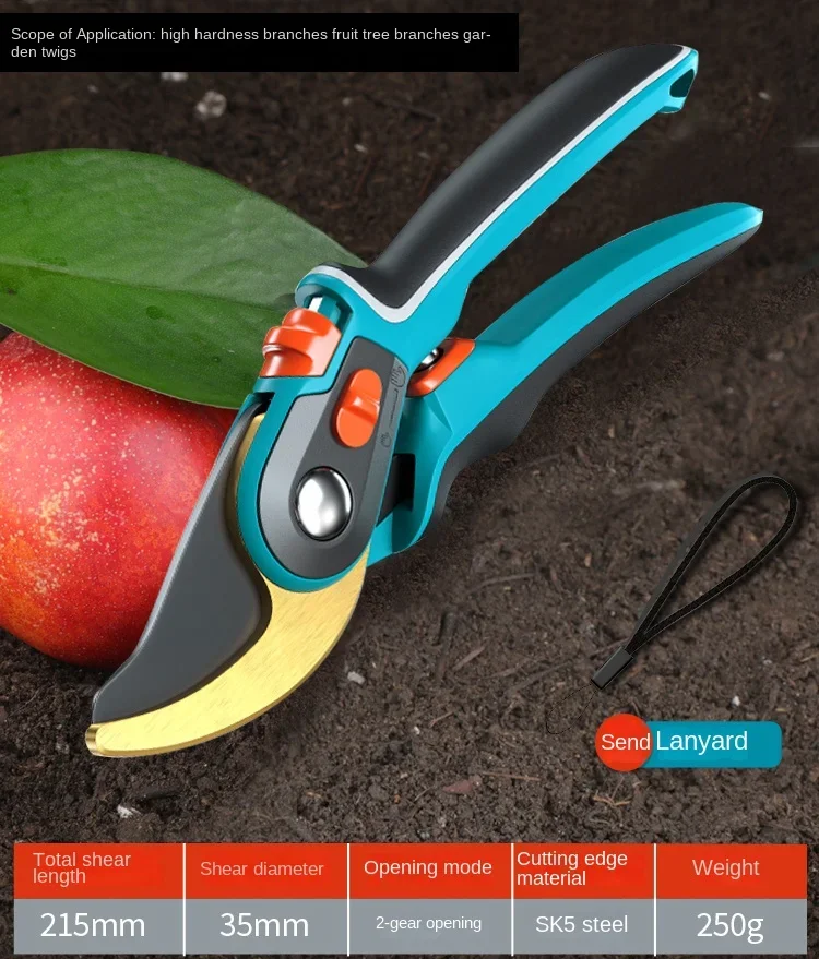 Green Forest Horticultural Scissors Fruit Tree Pruning and Floral Scissors