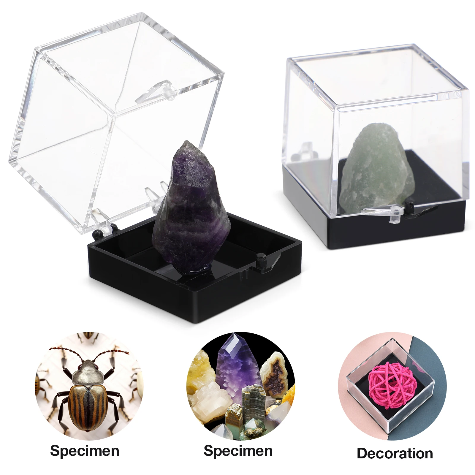 

12pcs Clear Mineral Specimen Storage Cases Square Sample Displaying Box Rock Jewelry Coin Seashell Hockey Puck Display Case