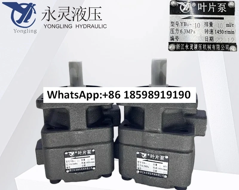 

Оригинальный сток YB1 25, 6, 3, 10, 12, 5, 16, 20, 32, 63 80 100 125 лопастной насос