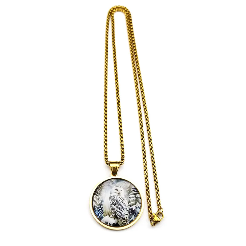 Geheimnisvolle Schneeeule Runde Glas Medaille Anhänger Halskette Für Frauen Männer Edelstahl Gold Farbe Foto Tier Kette Schmuck – Detail 10