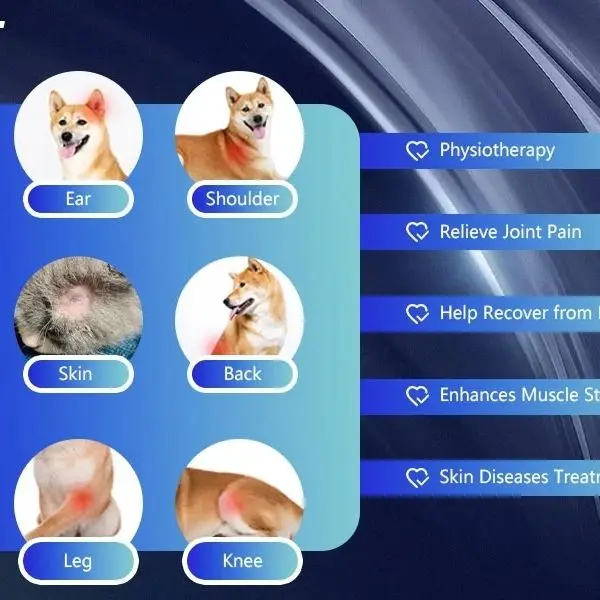 

Rechargeable 650nm & 808nm Handheld Red Light Device for Arthritis, Back Pain Relief & Fast Healing