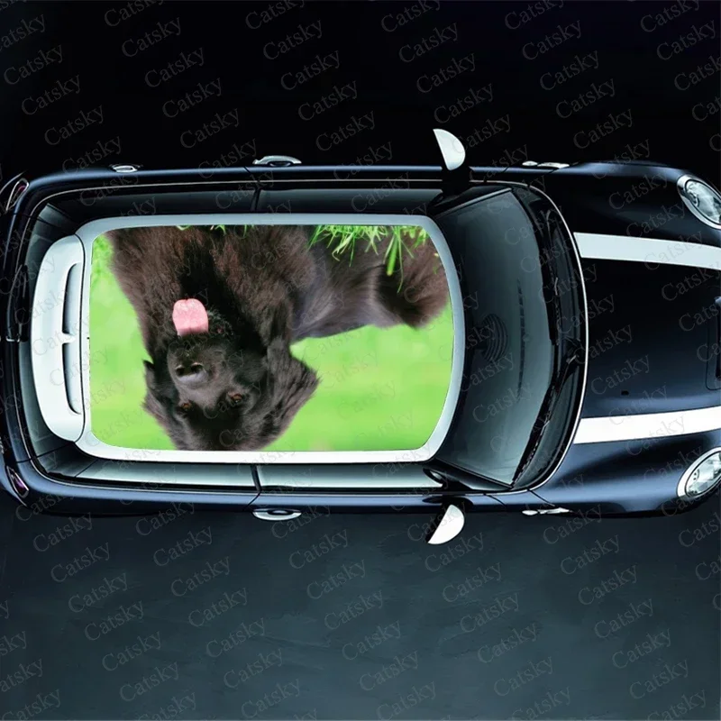 Newfoundland Puppy Car Roof Sticker Decoration Film SUV Decal Hood Vinyl Decal Graphic Wrap Vehicle Protect Accessories Gift